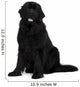 Newfoundland dog Wall Decal