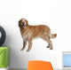 Hovawart Dog Standing Wall Decal