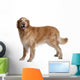 Hovawart Dog Standing Wall Decal