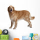 Hovawart Dog Standing Wall Decal
