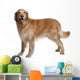 Hovawart Dog Standing Wall Decal
