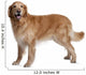 Hovawart Dog Standing Wall Decal