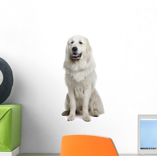 Great Pyrenees or Pyrenean Wall Decal Design 2