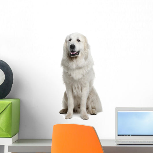 Great Pyrenees or Pyrenean Wall Decal Design 2