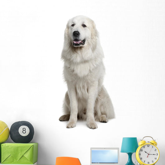 Great Pyrenees or Pyrenean Wall Decal Design 2