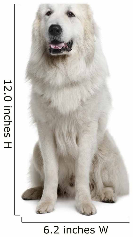 Great Pyrenees or Pyrenean Wall Decal Design 2