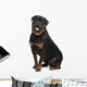 Rottweiler Wall Decal