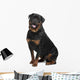 Rottweiler Wall Decal
