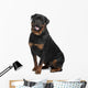 Rottweiler Wall Decal