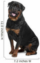 Rottweiler Wall Decal