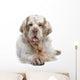 Clumber Spaniel Dog Wall Decal