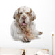 Clumber Spaniel Dog Wall Decal