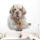 Clumber Spaniel Dog Wall Decal