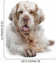 Clumber Spaniel Dog Wall Decal