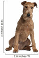 Irish Terrier Wall Decal