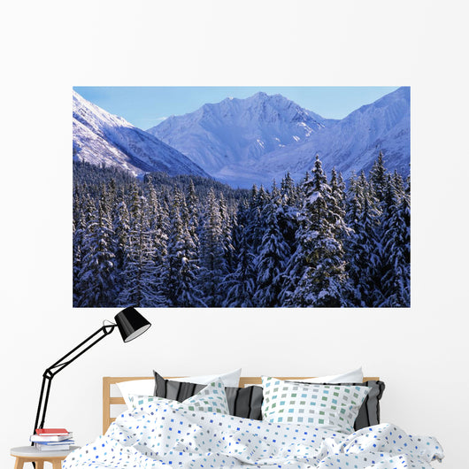 St Elias Mountains, British Columbia Wall Mural