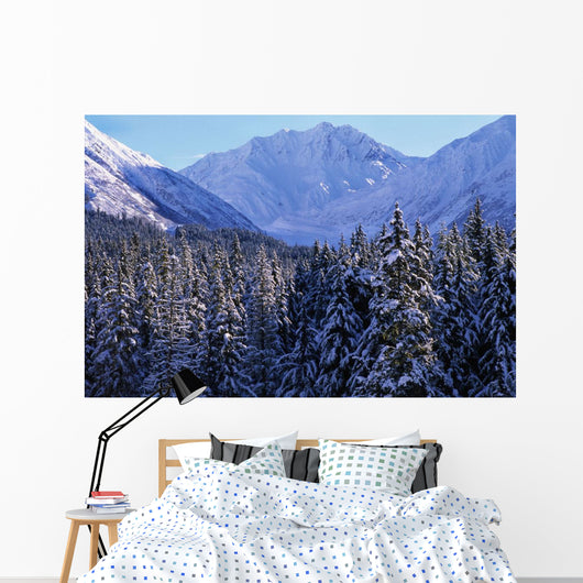 St Elias Mountains, British Columbia Wall Mural