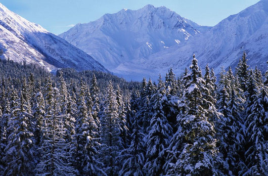 St Elias Mountains, British Columbia Wall Mural