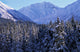 St Elias Mountains, British Columbia Wall Mural