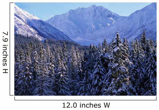 St Elias Mountains, British Columbia Wall Mural