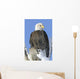 Bald Eagle In Winter Wall Mural