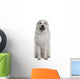 Great Pyrenees or Pyrenean Wall Decal Design 1