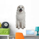 Great Pyrenees or Pyrenean Wall Decal Design 1