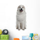 Great Pyrenees or Pyrenean Wall Decal Design 1