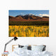 Autumn In Duke Creek, Kluane Wildlife Sanctuary, Yukon, Nwt Wall Mural