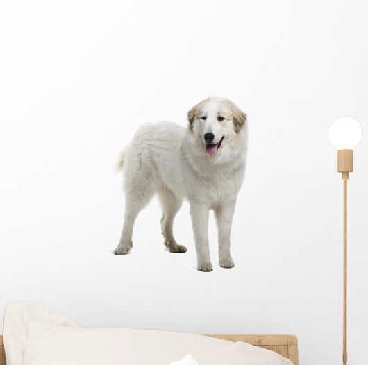 Pyrenean Mountain Dog Wall Decal