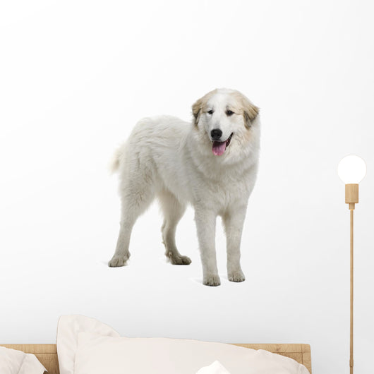 Pyrenean Mountain Dog Wall Decal