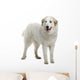 Pyrenean Mountain Dog Wall Decal