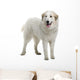 Pyrenean Mountain Dog Wall Decal