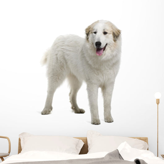 Pyrenean Mountain Dog Wall Decal