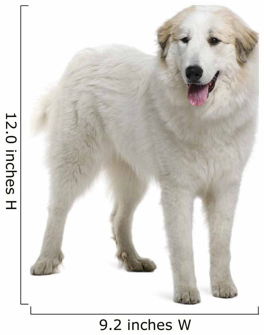 Pyrenean Mountain Dog Wall Decal