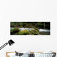 Tunnel Creek, Olympic National Forest, Washington Wall Mural