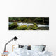 Tunnel Creek, Olympic National Forest, Washington Wall Mural