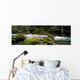 Tunnel Creek, Olympic National Forest, Washington Wall Mural