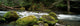 Tunnel Creek, Olympic National Forest, Washington Wall Mural