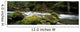 Tunnel Creek, Olympic National Forest, Washington Wall Mural