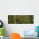 Big Quilcene Valley, Olympic National Forest, Washington Wall Mural
