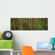 Big Quilcene Valley, Olympic National Forest, Washington Wall Mural