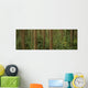 Big Quilcene Valley, Olympic National Forest, Washington Wall Mural