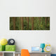 Big Quilcene Valley, Olympic National Forest, Washington Wall Mural