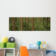 Big Quilcene Valley, Olympic National Forest, Washington Wall Mural