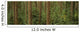 Big Quilcene Valley, Olympic National Forest, Washington Wall Mural