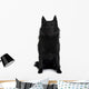 Schipperke dog Wall Decal