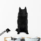 Schipperke dog Wall Decal