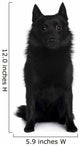 Schipperke dog Wall Decal