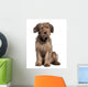 Briard Dog Sitting Wall Decal
